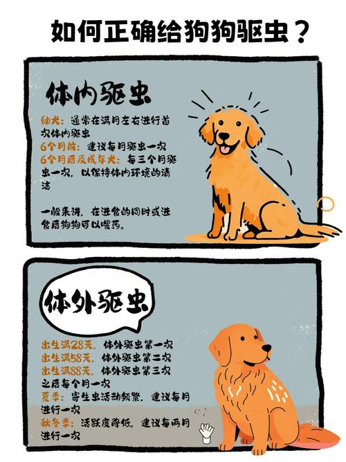 都说狗狗驱虫很重要,想问下狗狗驱虫药多久吃一次呢?吃多了会有影响嘛...