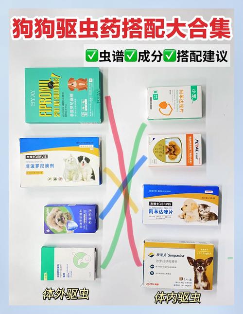 狗狗多久吃一次体内驱虫药