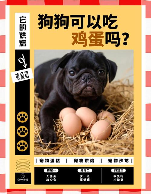狗狗产后吃鸡蛋好吗