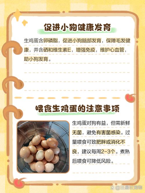 狗狗产后吃鸡蛋可以吗