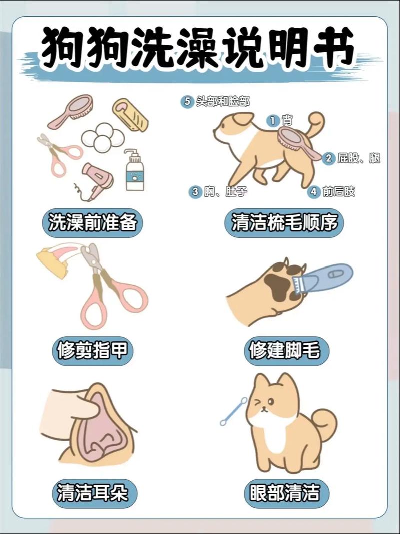 新手养狗|狗狗洗澡注意事项