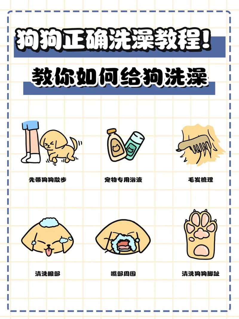如何用洁尔阴帮狗狗洗澡