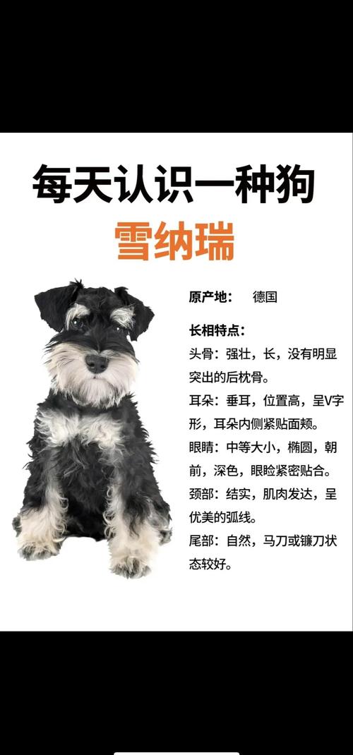 狗狗能吃山楂卷吗