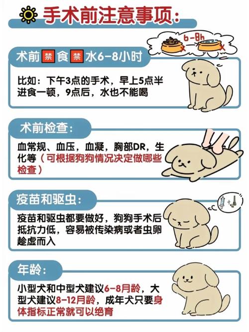 狗狗做了绝育手术后要注意什么?