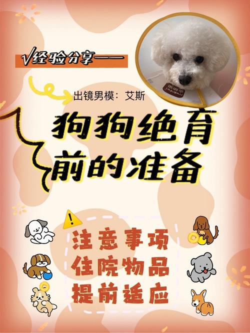 狗狗绝育手术必看的注意事项