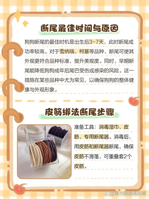 狗狗做绝育有哪些需要注意的地方?