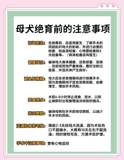狗狗绝育前后需要注意的事项
