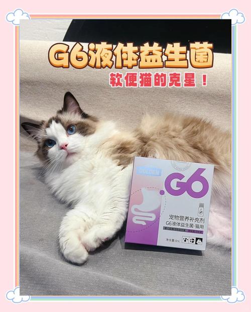 布偶肠胃不是很好,可以喂什么益生菌?
