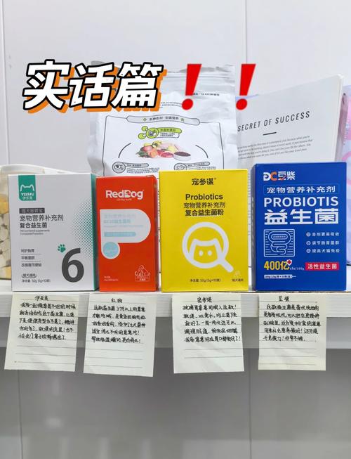猫咪益生菌可以天天吃吗?哪个牌子好一点?