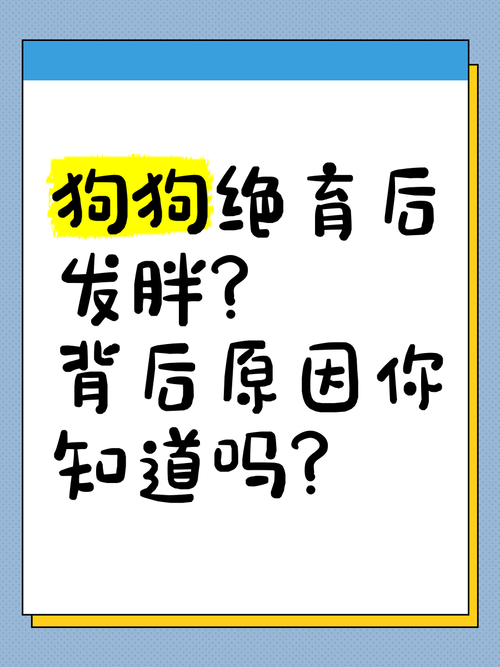 狗狗做完绝育术后为什么会发胖?