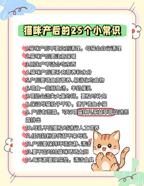 猫咪从怀孕到生产总共要花多久的时间?