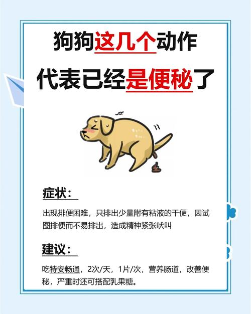 小狗一直拉不出来便便怎么办?处理狗狗便秘的三大措施