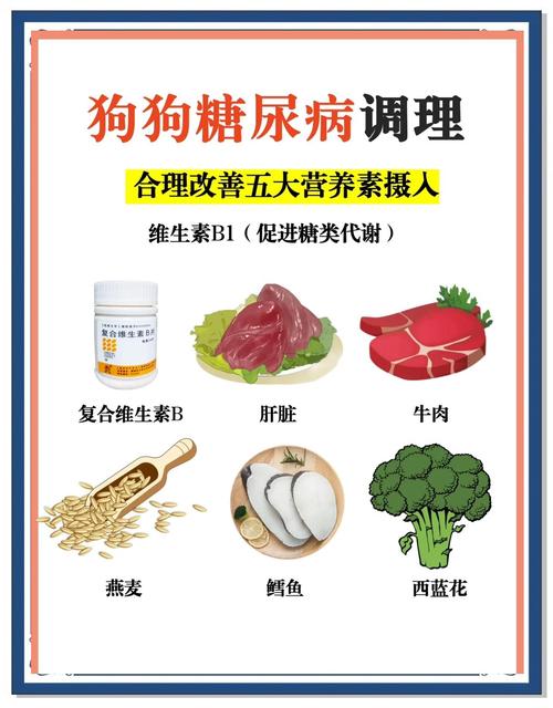 狗低血糖多长时间能见效