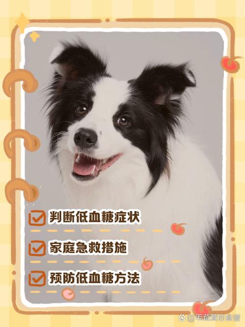 狗狗低血糖一般多久可以恢复?