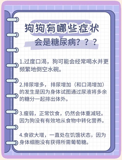 狗只剩微弱的呼吸还能撑多久