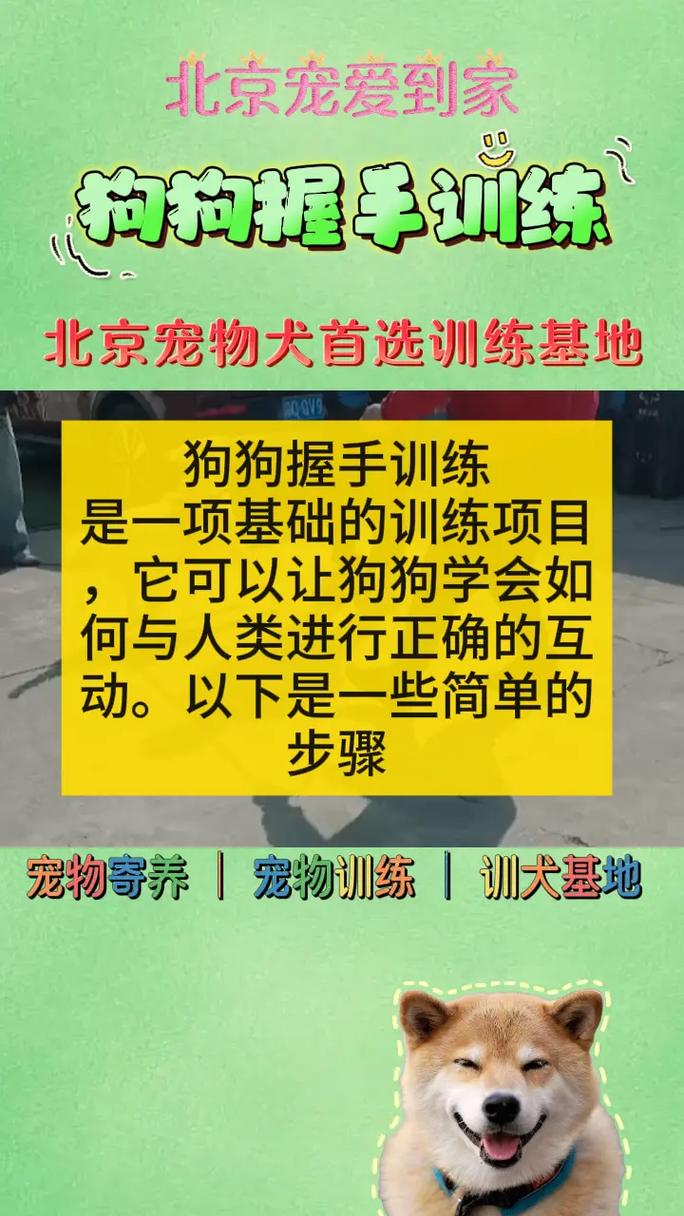 教你如何训练狗狗的“握手”动作