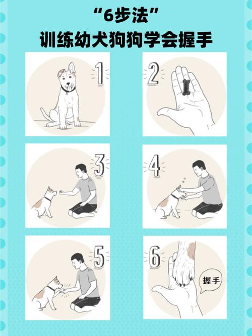 训练狗狗握手的小诀窍
