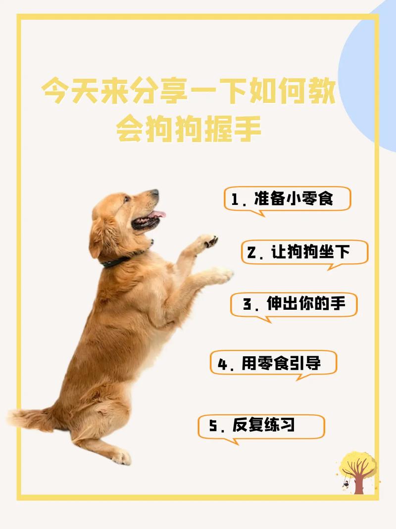 如何教狗狗握手