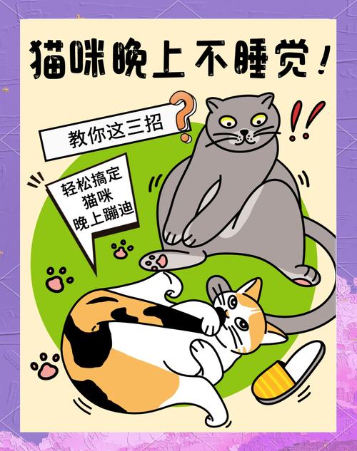 怎样让小猫乖乖睡觉