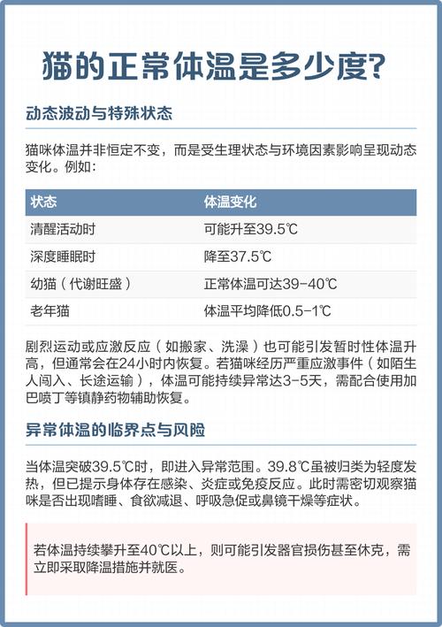 猫咪的正常体温是几度