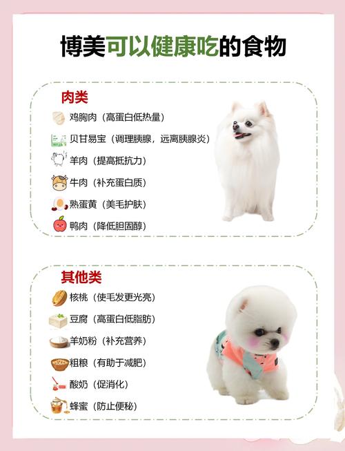 狗狗能不能吃棒棒糖