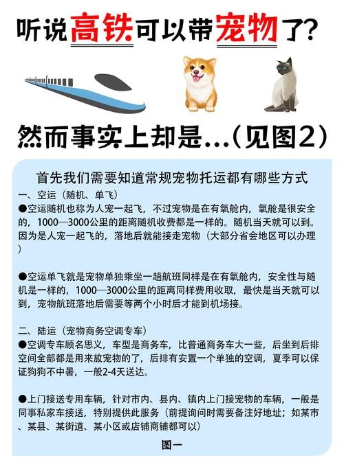 火车可以托运宠物吗像小狗之类的