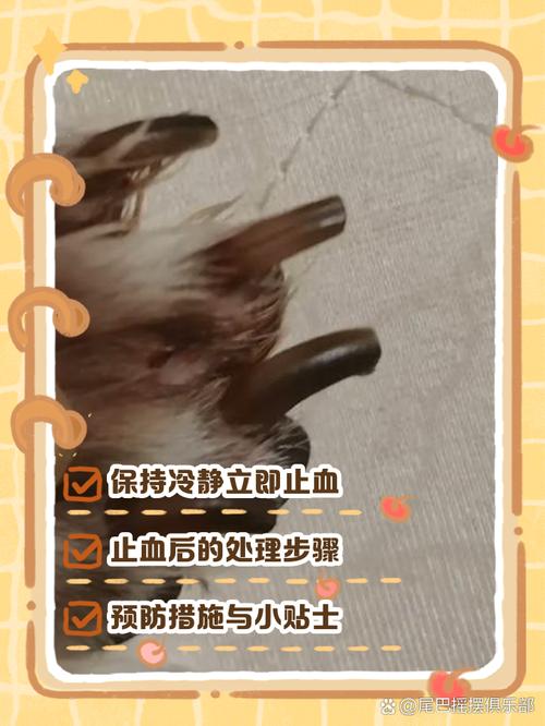 狗狗脚趾为什么渗血了