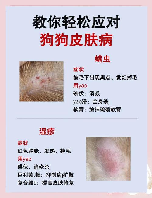 狗狗背部两侧对称性脱毛