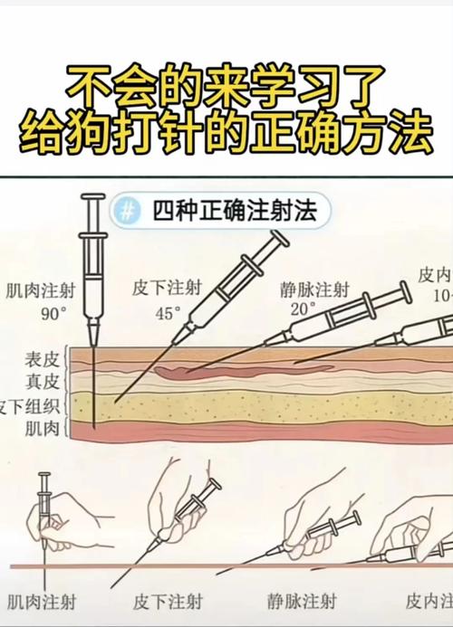 给狗狗打狂犬疫苗需要去哪里打啊?