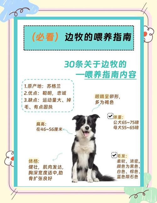 狗狗多大可以出去遛?