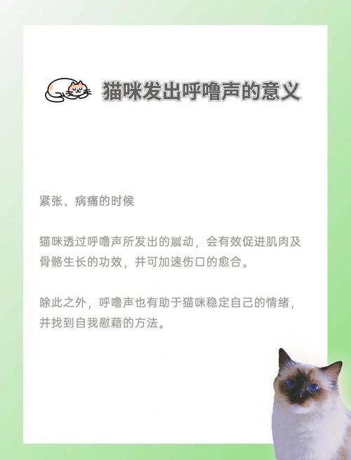 一摸猫就打呼噜能代表什么呢?