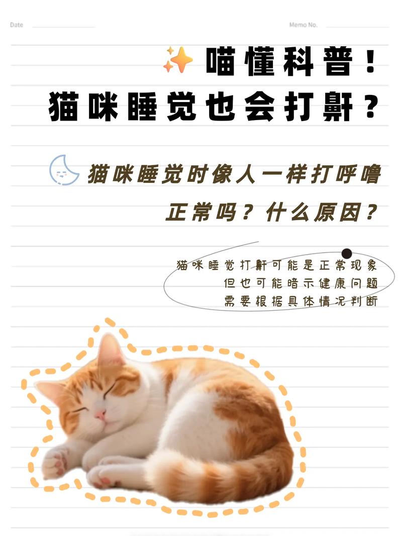 猫咪睡觉总打鼾是你不知道的健康隐患