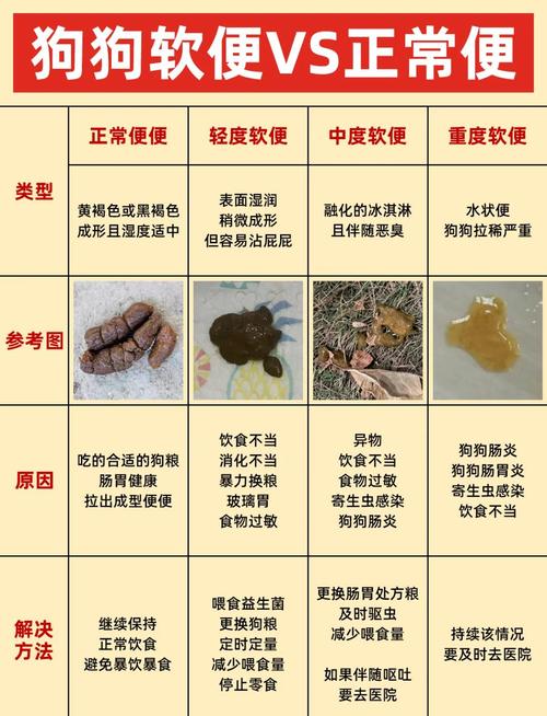 狗狗拉稀几天能好