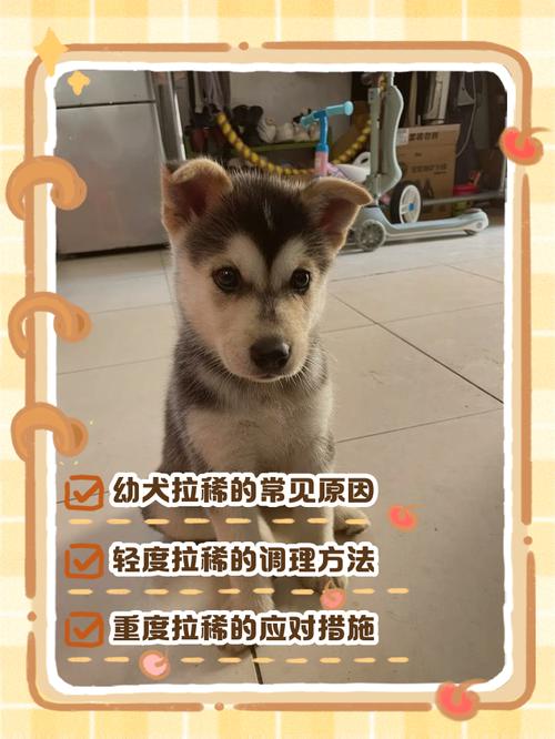 狗狗拉稀一般几天能好