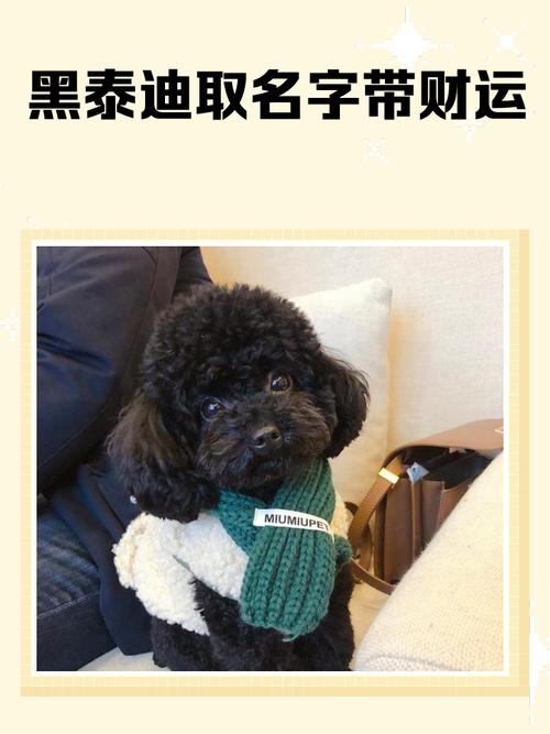 为黑色狗狗取一个最能旺主人的名字有啥思路