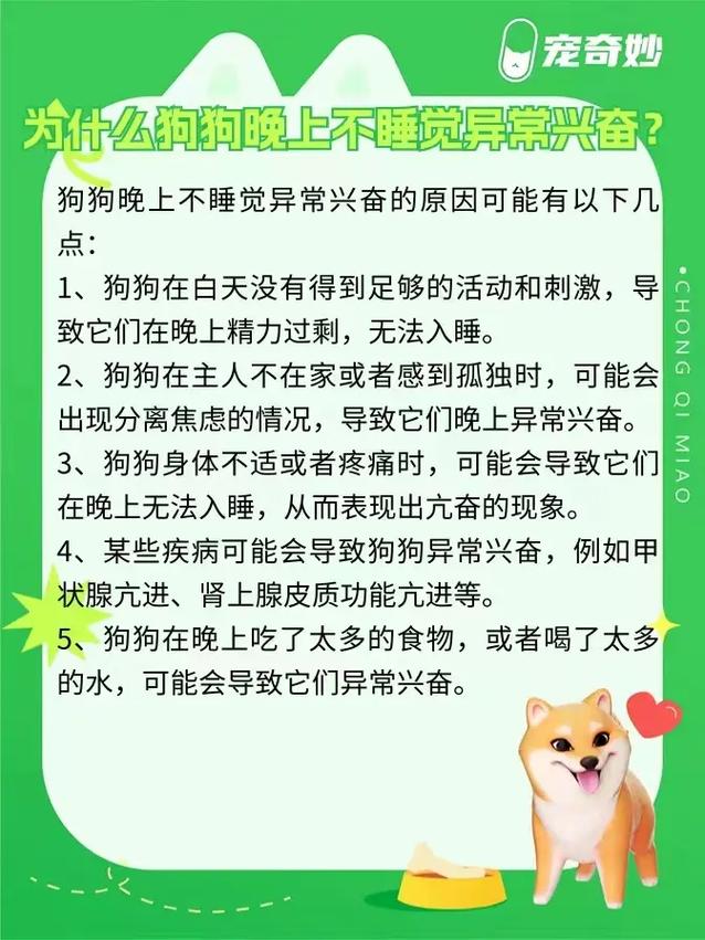 狗狗为什么在晚上很兴奋