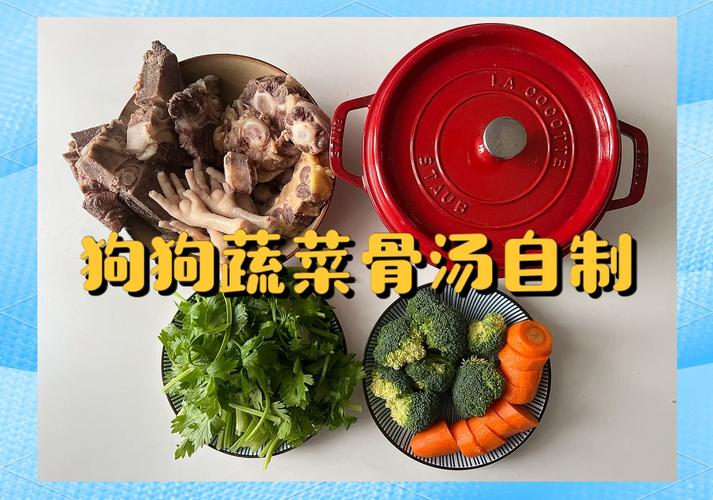 骨头汤对于狗狗的健康有何益处?