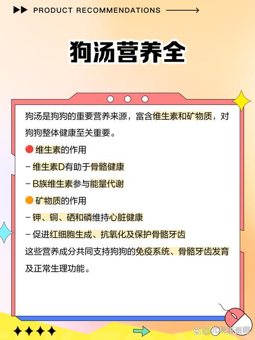 三个月大比熊狗狗可以喝牛骨头汤吗?
