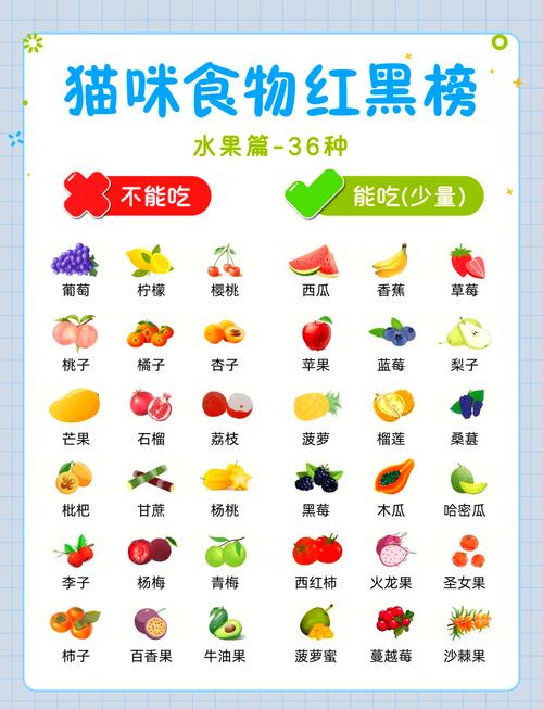 猫能吃什么水果?