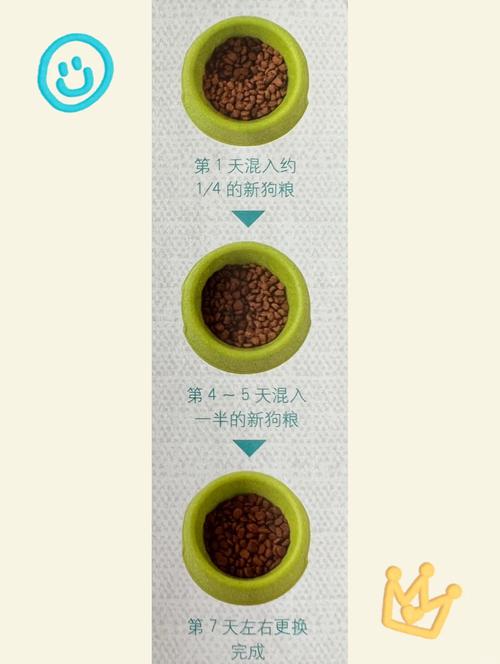 2个月狗狗吃多少颗狗粮