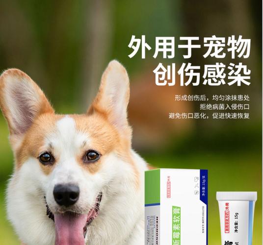 狗狗眼角皮肤烂了怎么办用什么药