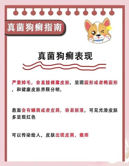 狗皮肤烂了用什么药?