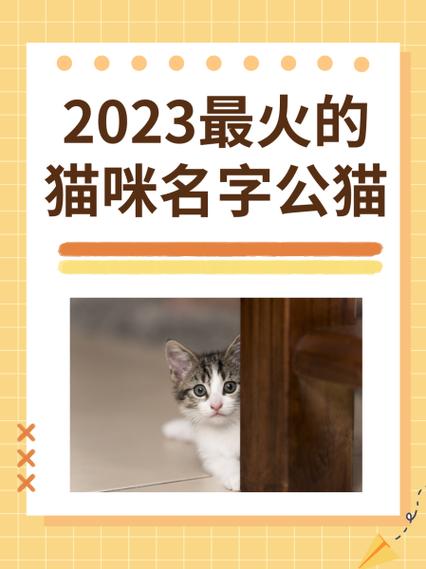 公猫名字大全洋气的