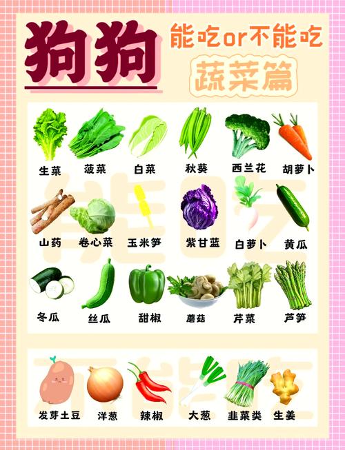 狗狗吃蔬菜要煮熟吗