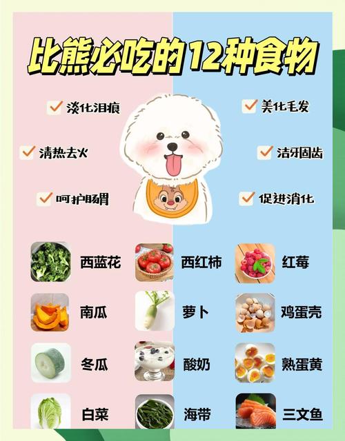 比熊吃蔬菜需要煮熟吗