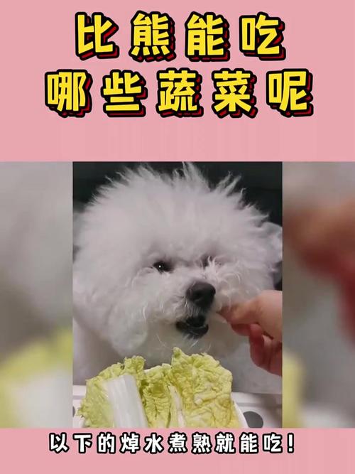 狗狗吃蔬菜要煮熟吗两个月