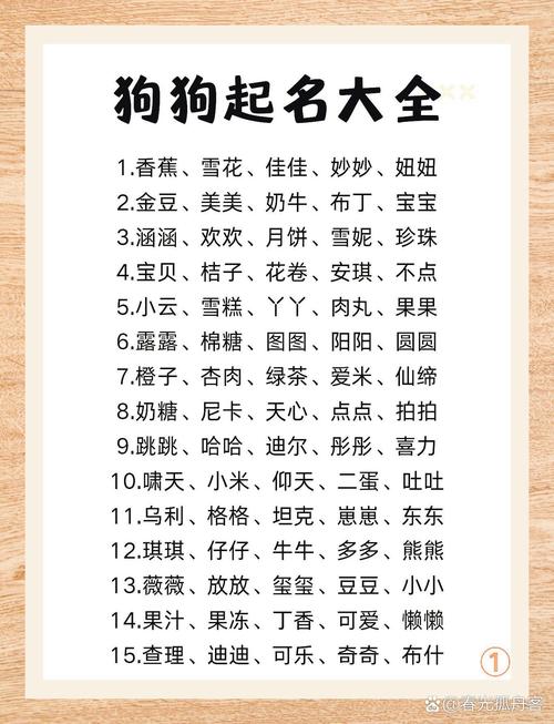 公犬名字大全霸气