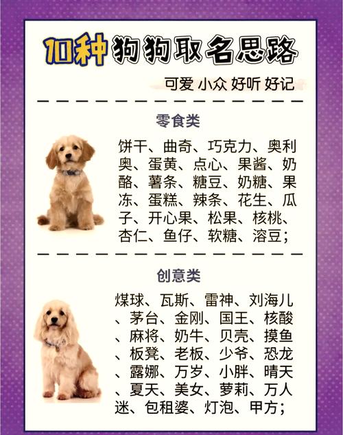 寓意健康平安的狗狗名字