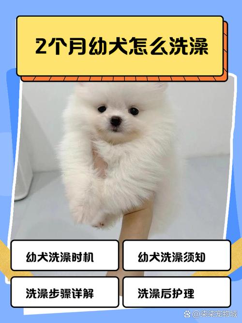 狗狗只有2个月大左右,还没有打过疫苗,可以帮它洗澡吗?