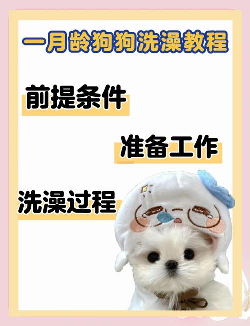 刚满月一两个月的狗狗能洗澡吗